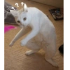 ?
?