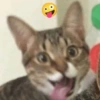 @meowposting