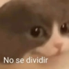 No se dividir