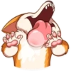 Cute dog 25