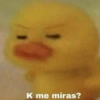 K me miras?