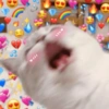 Michitos de amor💖💖 10
