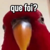 que foi?