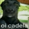 oi cadela