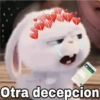 Gaysi Oy
Otra decepcion
