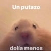 MEMES PACK 4.0 20