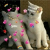 you my love & support