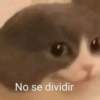 No se dividir