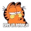 Garfield Grosero 18
