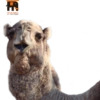 Habitantes del zoo 19