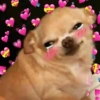 💖💞Love Reactions💞💖 20