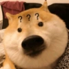 ??? 200