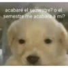 acabaré el semestre? o el semestre me acabara a mi?