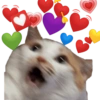 Gatitos #1 27