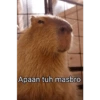 Apaan tuh masbro