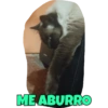 ME ABURRO