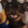 65