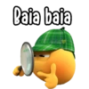 Baia baia