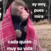 ay wey pues mira cada quién muy su vida