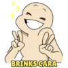 IX BRINKS CARA