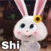 Shi