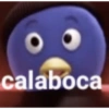 calaboca