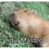 Tidur Masbro