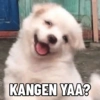 KANGEN YAA?