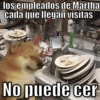 los empleados de Martha cada que llegan visitas Aarón No puede cer