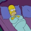 Homer Simpson 15