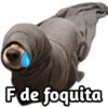 F de foquita