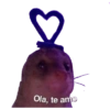 Ola, te amo