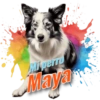 Mi perro Maya