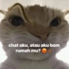 chat aku, atau aku bom rumah mu?