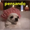 pensando