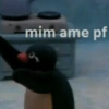 mim ame pf