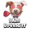 Pet reactions 5