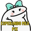 ESPERANDO MEU PIX