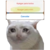 Apagar para todos Apagar para mim Cancelar