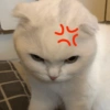 سال سال