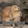 Masbro Jahat