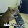 siap Masbro