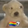 ?