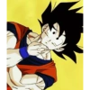 Goku 18