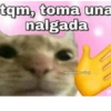 tqm, toma una
nalgada
Akawaliposting