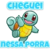 Pokemon Zoado 16
