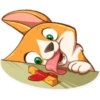 Cute dog 15