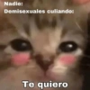 Nadie: Demisexuales culiando: Te quiero