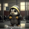 Pingufitness