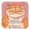 Odio lo lune